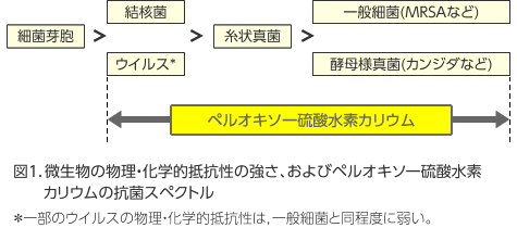 図1．微生物の物理・化学的抵抗性の強さ、およびペルオキソ一硫酸水素カリウムの抗菌スペクトル