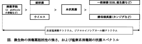 微生物の消毒薬抵抗性の強さ，および塩素系消毒剤の抗菌スペクトル